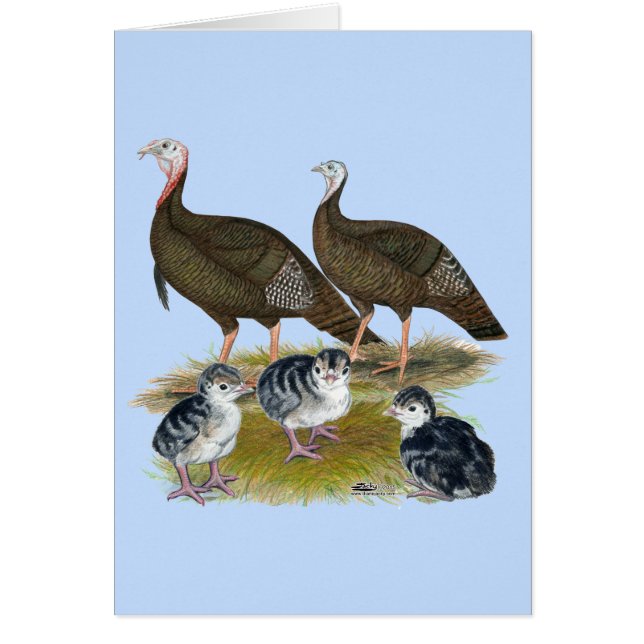 Familia silvestre oriental de los pavos (Frente)