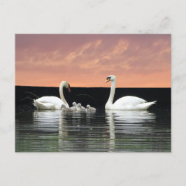 Familia Swan en Harbour Sky Cust. postal BG DIY