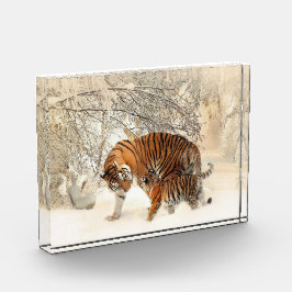 Familia Tigre En Bloque De Fotografía Del Paisaje