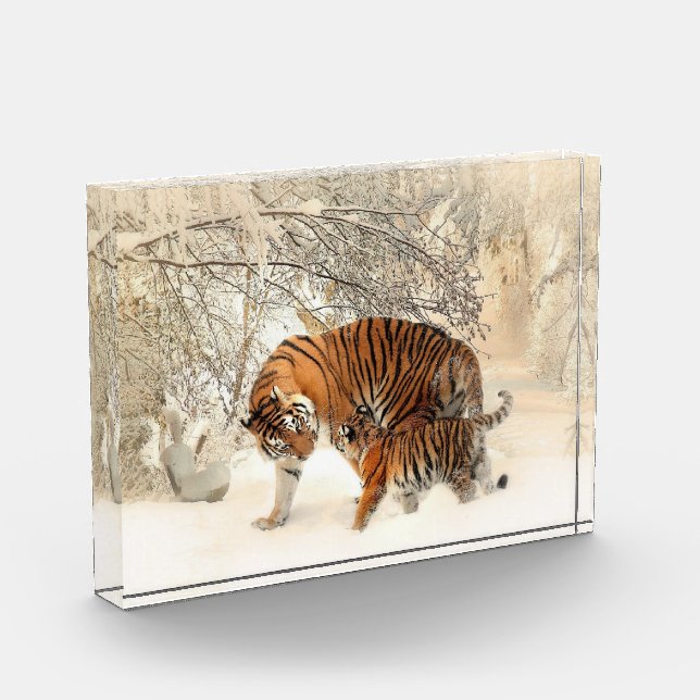 Familia Tigre En Bloque De Fotografía Del Paisaje  (Izquierda)