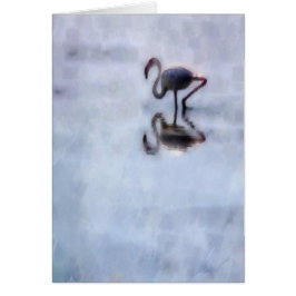 Famingo Camina En Agua Heather