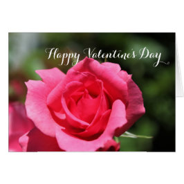 Famosa flor rosa rosa rosa rosa rosa rosa rosa ros