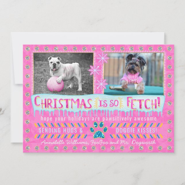 Famoso Mascota de perro Navidad de vacaciones foto (Anverso)