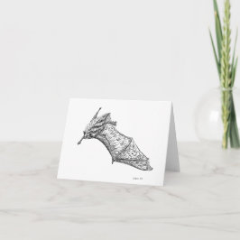 Fancy Bats: tarjeta M. lucifugus de estiramiento d