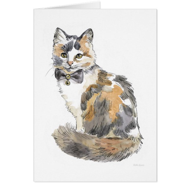 Fancy Calico Cat (Frente)