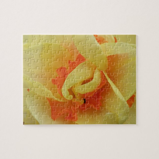 Fancy Daffodil Puzzle (Horizontal)