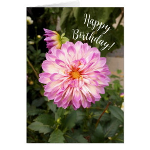 Fancy Purple and White Dahlia Happy Birday Card