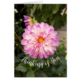 Fancy Purple and White Dahlia Thinking You Card