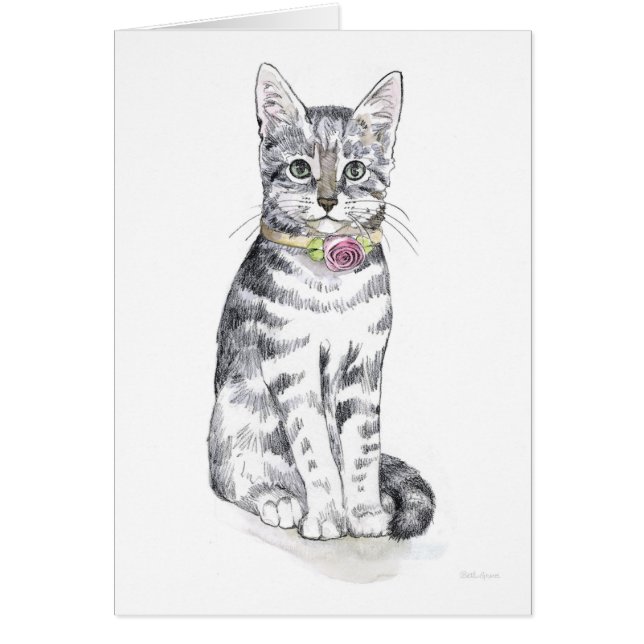 Fancy Tabby Cat (Frente)