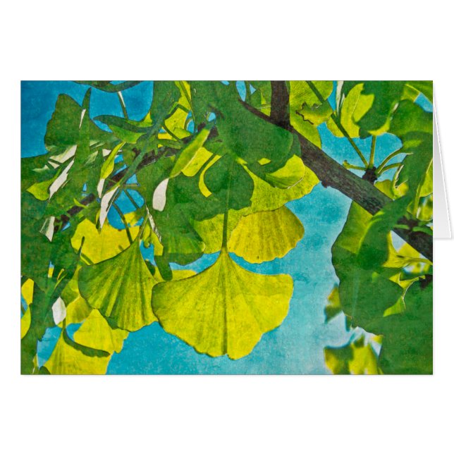 Fans de Dreamy (Anverso (Horizontal))