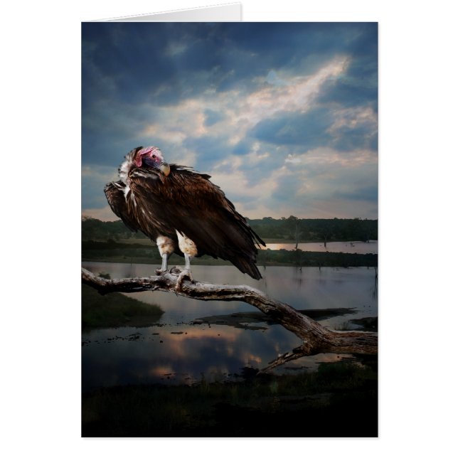 Fantasía del buitre (Frente)