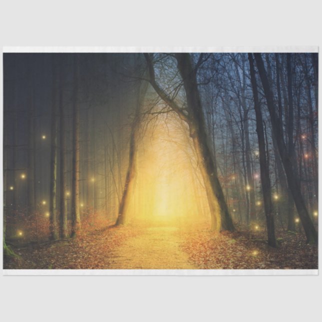 Fantasía Iluminación Forestal 19 Papel de tono de  (Anverso)