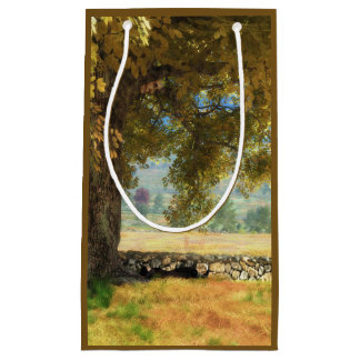 Fantasías: Bajo la bolsa de regalo de un árbol de