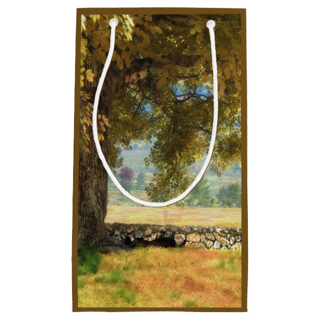 Fantasías: Bajo la bolsa de regalo de un árbol de  (Anverso)