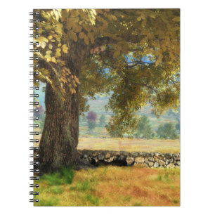 Fantasías: Debajo del cuaderno de árbol de haya