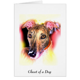 Fantasma de un perro