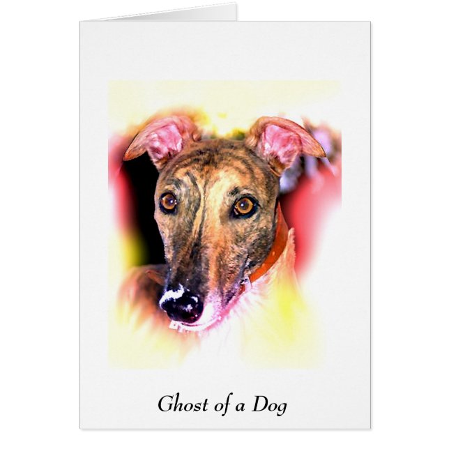 Fantasma de un perro (Frente)
