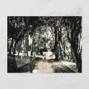 Fantasma fantasmagórico en la postal de la imagen