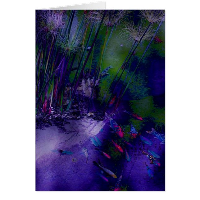 Fantasy Koi Pond Card (Frente)