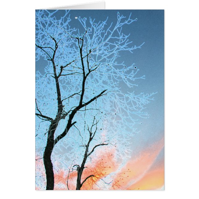 Faraway Moon (Frente)