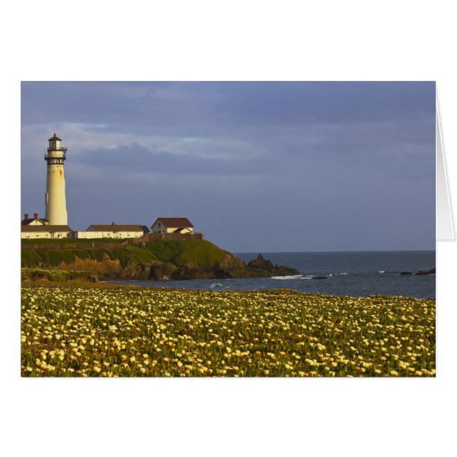 Faro en la playa estatal Pigeon Point en San (Anverso (Horizontal))