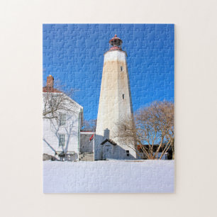 Faro Sandy Hook Puzzle New Jersey Jigsaw