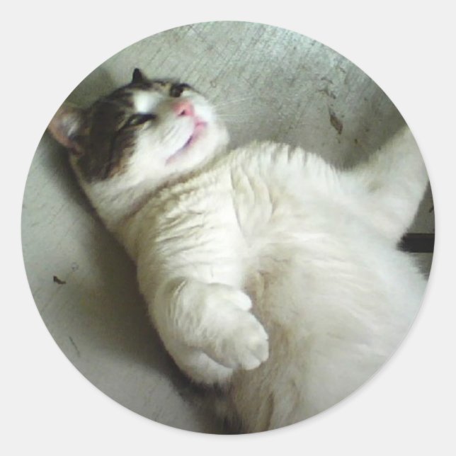 FATBOY QUE MIENTE ABAJO PEGATINAS (Anverso)