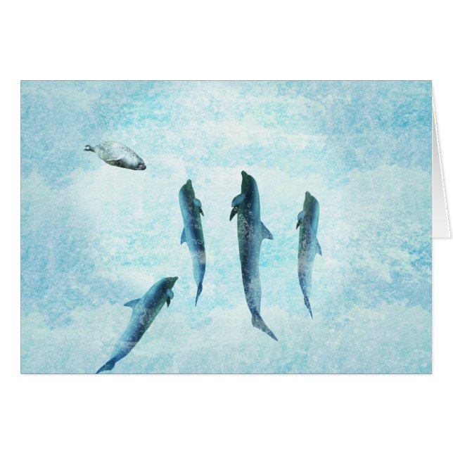 fauna acuática, delfines bailarines (Anverso (Horizontal))