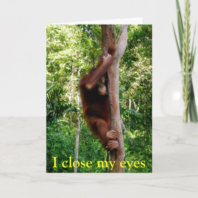 Fauna de la tarjeta del día de San Valentín (Anverso)