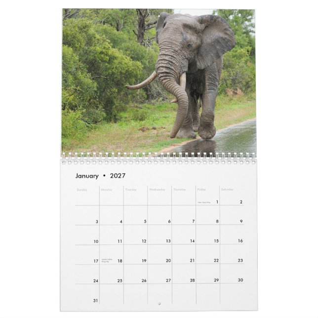 Fauna del calendario de Suráfrica (Jan 2027)