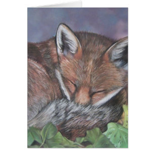 fauna del zorro rojo que duerme en tarjeta en