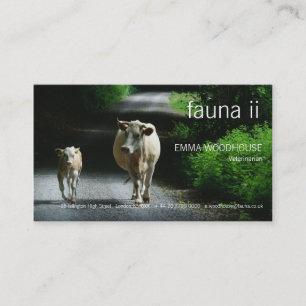Fauna - dos vacas en la tarjeta de visita de