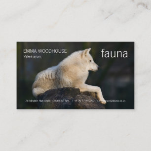 Fauna - tarjeta de visita ártica del lobo