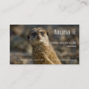 Fauna - tarjeta de visita de Meerkat