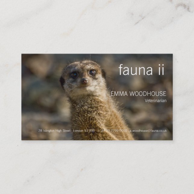 Fauna - tarjeta de visita de Meerkat (Anverso)