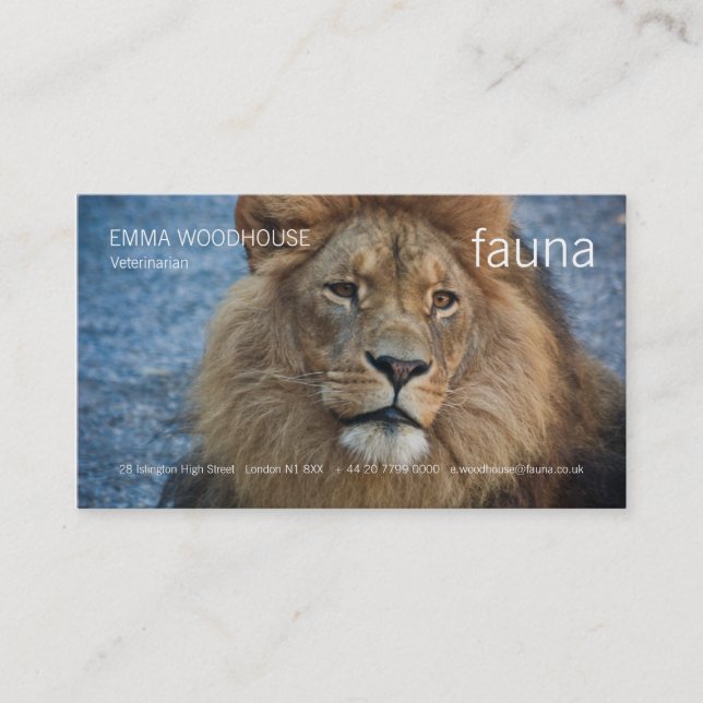 Fauna - tarjeta de visita del león (Anverso)