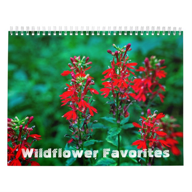 Favoritos de flores silvestres #1 Calendario (Tapa)