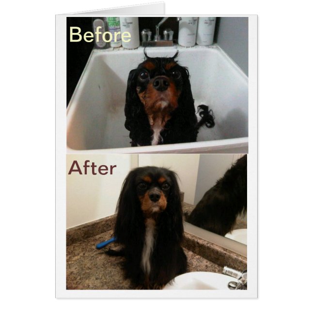 FE ANTES Y DESPUÉS (Frente)