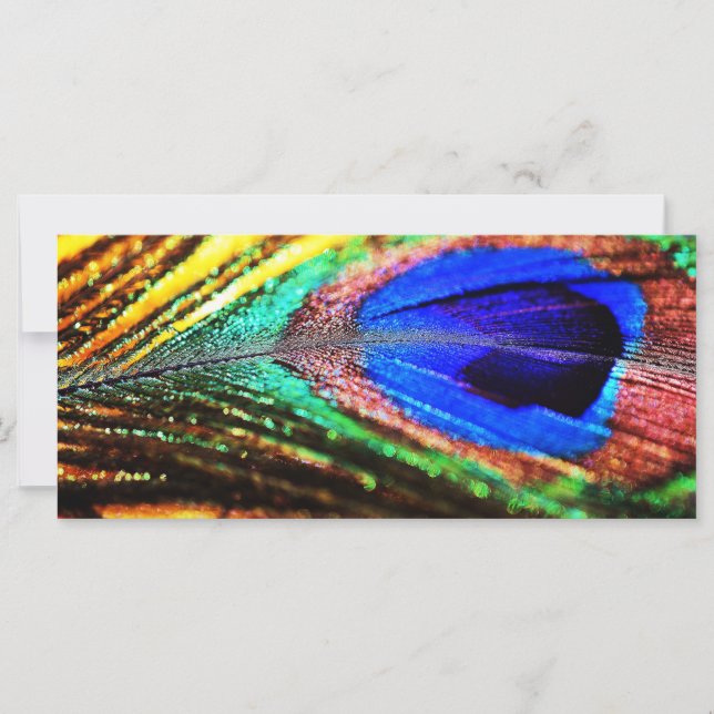 Feather por Shirley Taylor (Anverso)