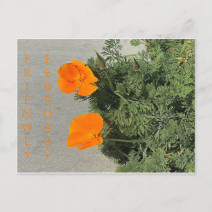 ¡Febrero amistoso! Postal