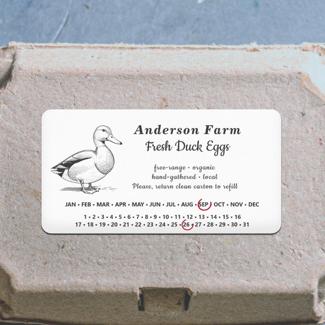 Fecha circundante - Pegatina blanco de huevos de p (Encircled Date - Farm Duck Eggs White Sticker)