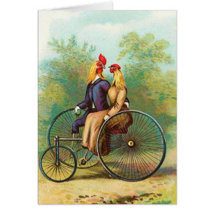 Fecha romántica de la bici del gallo