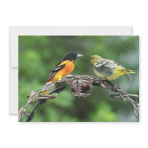 Feed Me - Tarjeta de felicitación plana