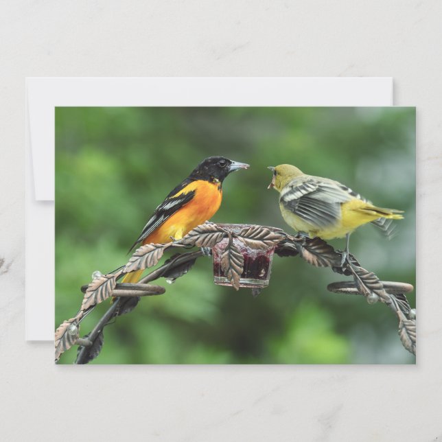 Feed Me - Tarjeta de felicitación plana (Anverso)