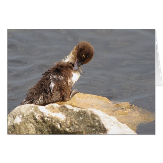 Feelin' Ducky - Duckling Get Well Card (Anverso (Horizontal))