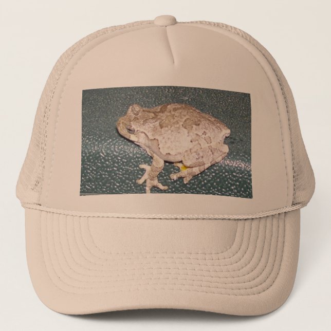 Feelin' Froggy Gorra (Anverso)