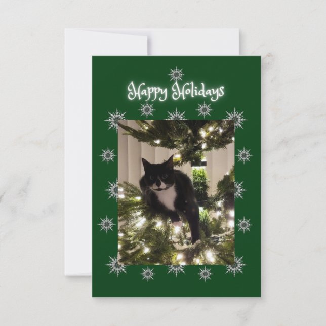Felices Fiestas. Navidades con gato de Tuxedo. (Anverso)