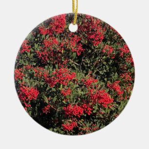 Felices Fiestas: Ornamento cerámico de California 