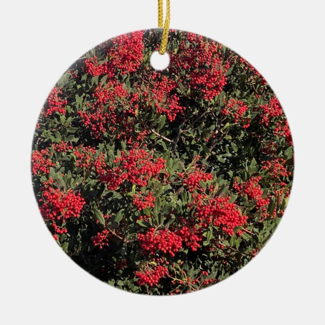 Felices Fiestas: Ornamento cerámico de California  (Frente)