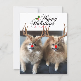 Felices fiestas Sushi y tarjetas de vacaciones de